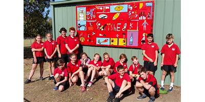 Nicholson Primary School