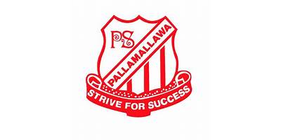 Pallamallawa Public School