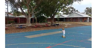 Palmyra Primary School