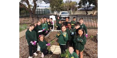 Para Vista Primary School