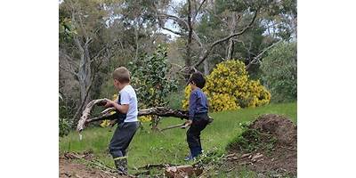 Paracombe Primary and Preschool
