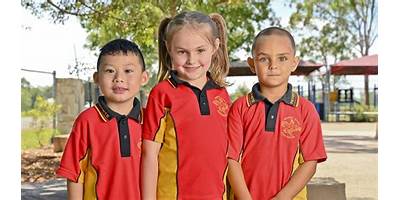 Patrick Estate State School