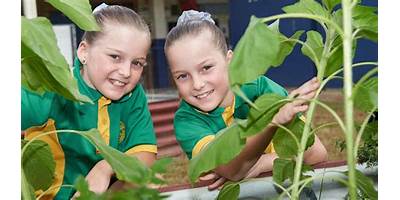 Proserpine State School