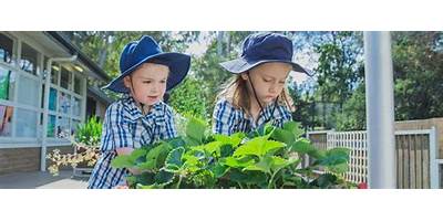 Ringwood Heights Primary School