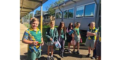 Robert Townson Public School