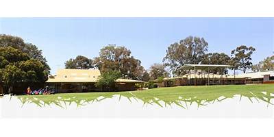Rostrata Primary School