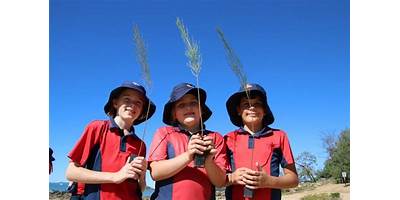 Sacred Heart Catholic Primary School