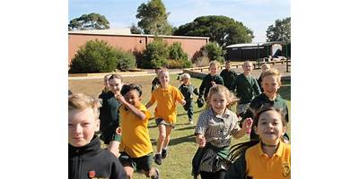 Seaford Primary School