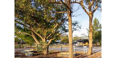 Seaforth State School