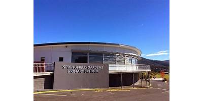 Springfield Gardens Primary School