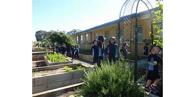 St Augustine's Parish School