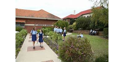 St Brigid's School