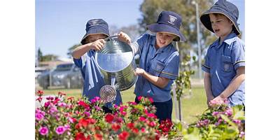 St Catherine's Catholic College The Whitsundays