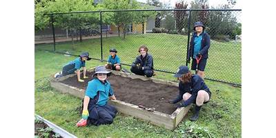 St Mary of the Cross Catholic Primary School