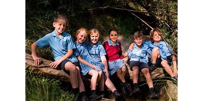 St Thomas More's School