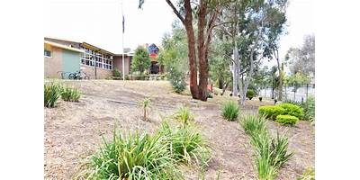 Streeton Primary School