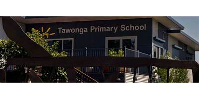 Tawonga Primary School