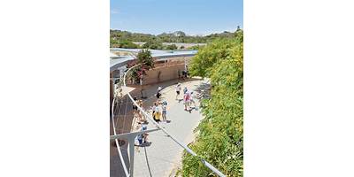The Beehive Montessori School