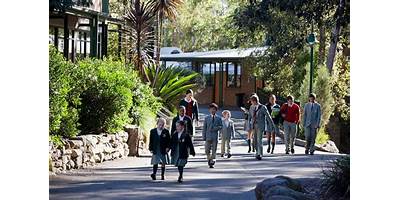 The Hills Grammar School