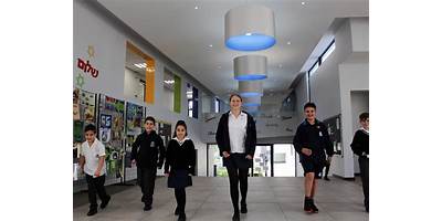 The King David School