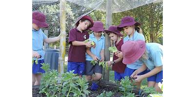 The Pocket Public School