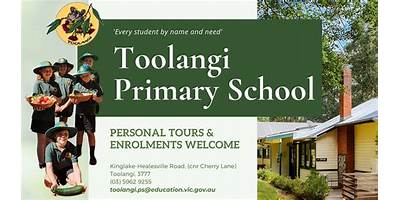 Toolangi Primary School