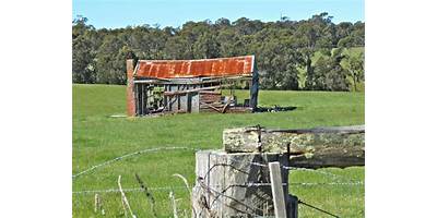 Toorloo Arm Primary School
