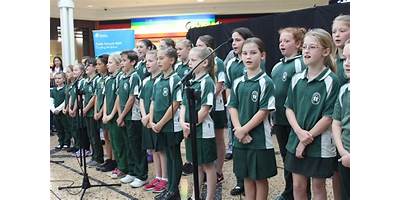 Toormina Public School