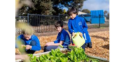 Truro Primary School