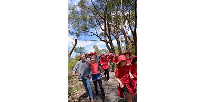 Upper Sturt Primary School
