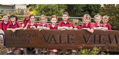 Vale View State School