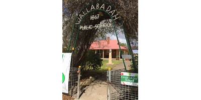 Wallabadah Public School
