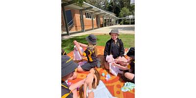 Wingello Public School