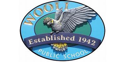 Wooli Public School