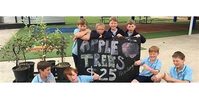 Woolsthorpe Primary School