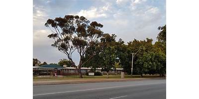 Yokine Primary School