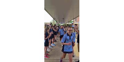 York Public School