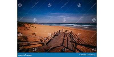 Representative image of Rye