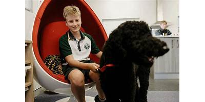 St Philip's Christian College Young Parents