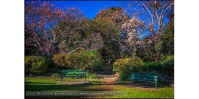 Representative image of Wahroonga