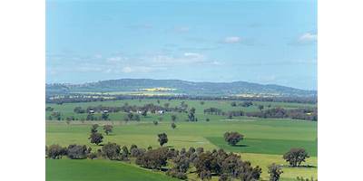 Representative image of Walla Walla