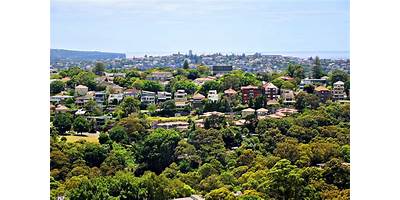 Representative image of Woollahra